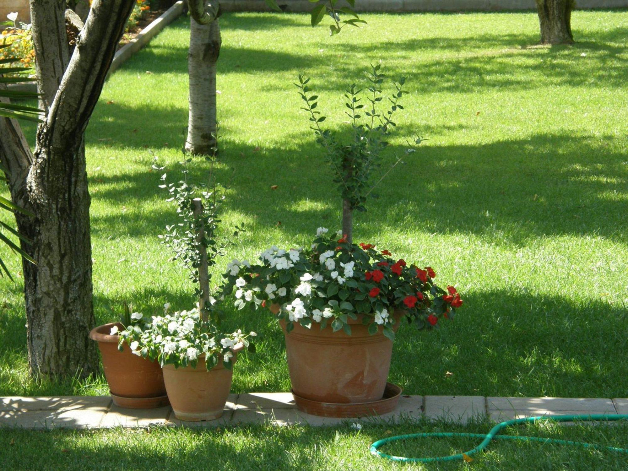 Villa Slavica 1 Водице Екстер'єр фото
