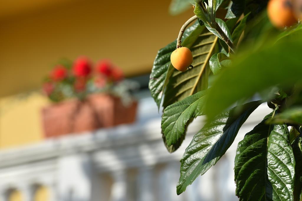 Villa Slavica 1 Водице Екстер'єр фото